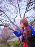 [Cosplay] 2013.04.13 Spice and Wolf Hot Cosplay(77)